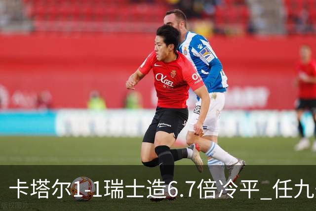 卡塔尔1-1瑞士造6.7倍冷平 任九开53注25.3万元