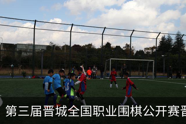 第三届晋城全国职业围棋公开赛晋城开幕